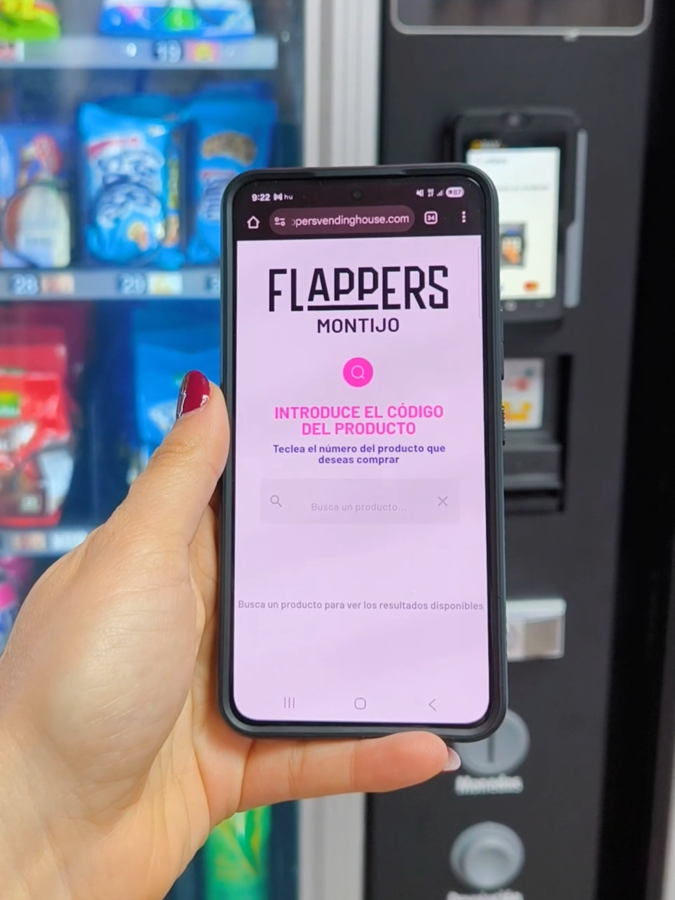 La web app de Flappers en uso