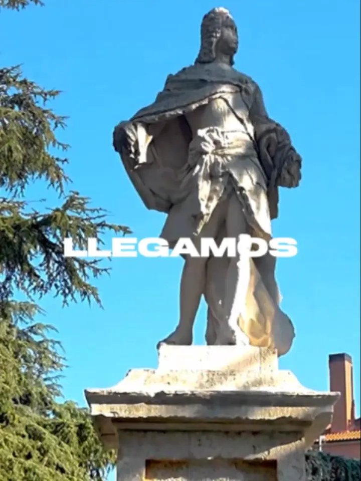 Nueva apertura San Fernando de Henares